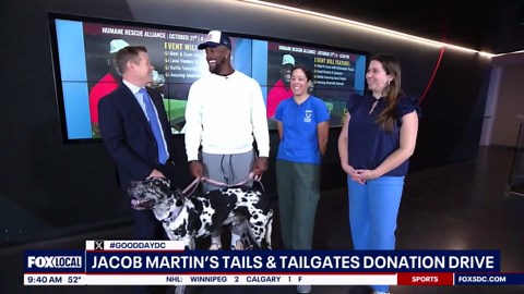 Commanders player Jacob Martin teams up with Humane Rescue Alliance