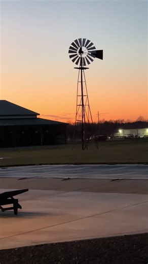 POV: You add the right lights to your gazebo… and suddenly it becomes everyone’s favorite place to sit. We just added these shatterproof outdoor string lights to our 20 by 12 gazebo… and I’m obsessed. It only took 62 feet of lights to go all the way around the inside frame, and they give off the prettiest warm glow at night. They’re dimmable, weather-safe, and the bulbs are shatterproof… which is perfect for Missouri winds and storms. Now when the sun sets, this might be my favorite spot on the 