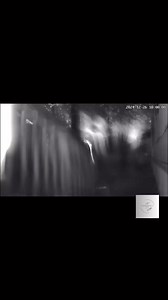 12K views · 262 reactions | Chilling home security footage appears to capture unidentified specters on camera, leaving everyone wondering - what are they?Video Yvonne Clark #theparanormalchic #reptilian #alien #ghost #securitycamera #unidentified #creature #paranormal #paranormalinvestigation #aliensighting #cryptid #mystery #texas #ufology #ufocommunity #fyp | ParanormalLink | Facebook