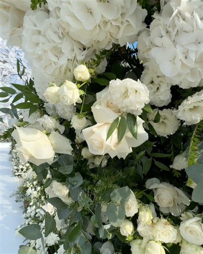 52K views · 55 reactions | Amy Jackson on Reels | Facebook