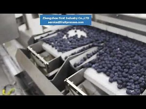 Blueberry packing machine，Blueberry processing equipment