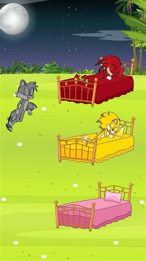 Can You Help Sonic Find the Correct Bed?