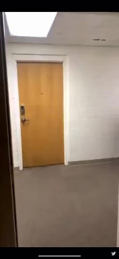 Duck Chasing People: A Terrifying Meme Compilation