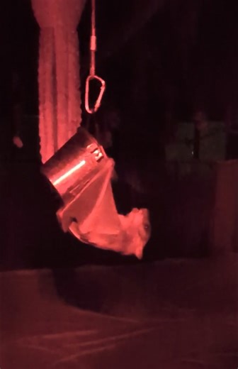 Today’s very honest taste-test brought to you by one very opinionated Egyptian fruit bat. Treat #1? Absolutely not. Treat #2? Still no. Treat #3? …okay fine, we’ll allow it. ✔️ That little spit-out isn’t attitude — it’s quality control. Texture, ripeness, sweetness… it all matters. In the wild, fruit bats are expert foragers and know exactly what they’re looking for. Around here, apparently, we’re running a five-star restaurant and someone expects better service. 😅 You can catch more of these s