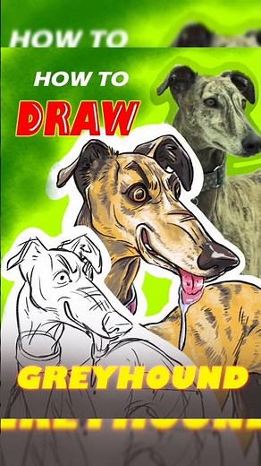 How to Draw Cartoon Dog (Greyhound Dog)