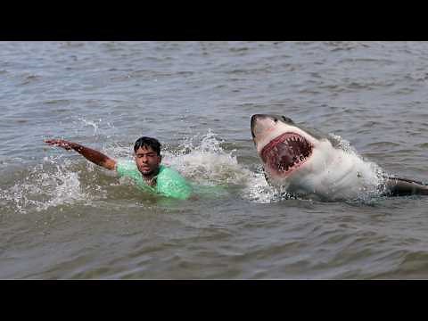 Shark Attack on Fishing Boat | fun made great white shark fish attack video 2