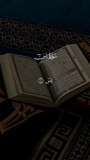 javad (@javad9477)’s videos with original sound - javad