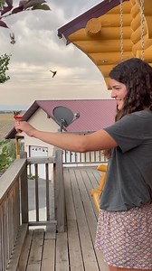 Daniel L. Bjerke on Reels