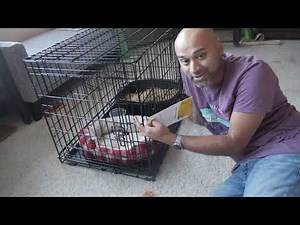 Every Yay! Happy Place Ultra Tough 2-Door Dog Crate Review
