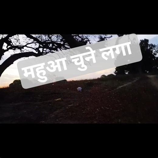 Mahua binne ke liye aaye hai #shortvideo #ytshorts #vlog #santu vlogs
