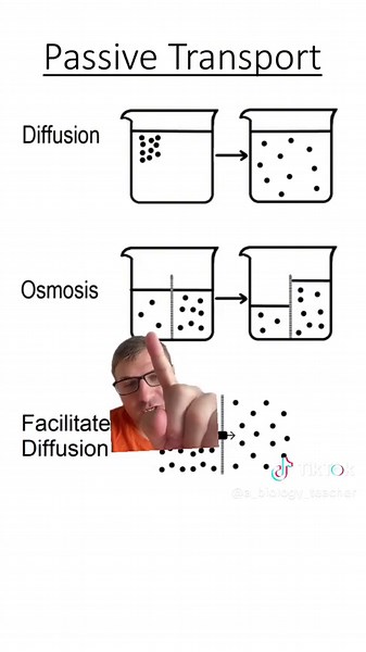Passive Transport #passivetransport #celltransport #diffusion #biology #apbiology #science #stem #osmosis #greenscreen