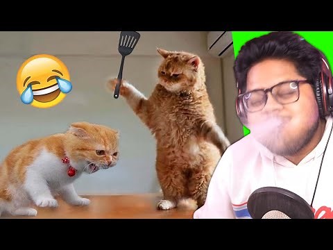 Try Not To Laugh Challenge but WATER in my Mouth 🤣 | Ayush More