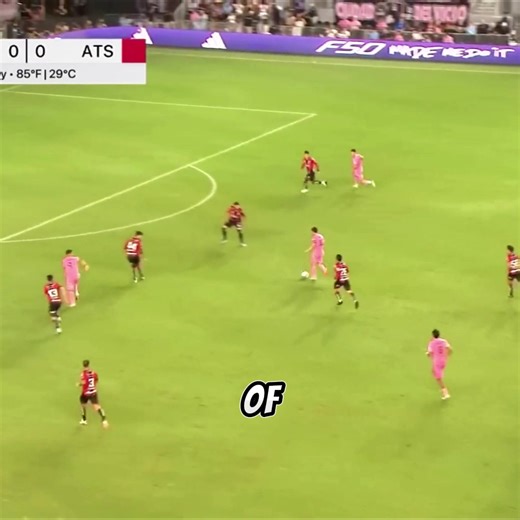 Bluly Dogs on TikTok