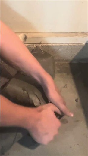 Wife Project #13: Removing Carpet