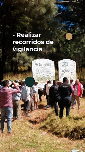 嬨¿Sabes cuáles son las funciones de un Comité de Vigilancia Ambiental Participativa? Conócelas | PROFEPA | Facebook