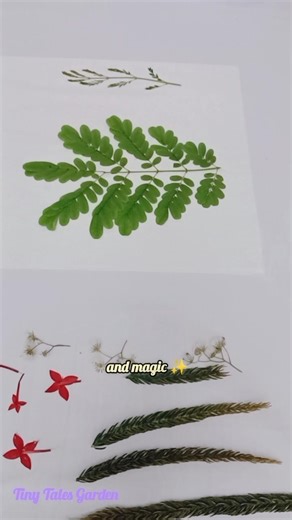 Easy way to dry flowers and leaves 🌸🍃No sun, no waiting ✨ #pressedflower #driedflowers #crafthacks