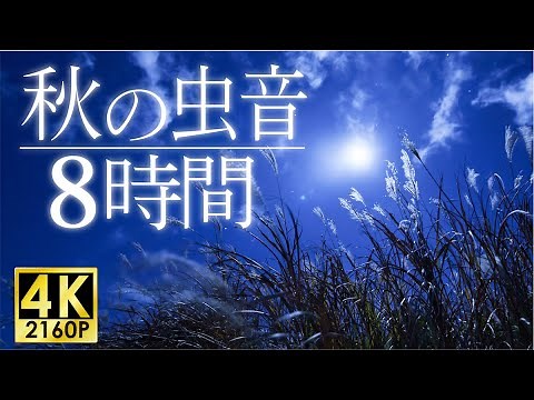 The Sound of Nature at Night in Japan - 8 hours -