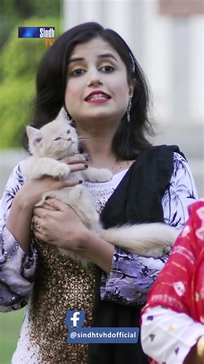 Gamoo Tuhinjo Sang Ghuran Aayo Ahey | #weriyunjiwasti #sindhtvhddrama