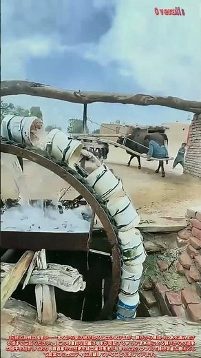 伝統的な牛が引く水車！動物動力による灌漑技術