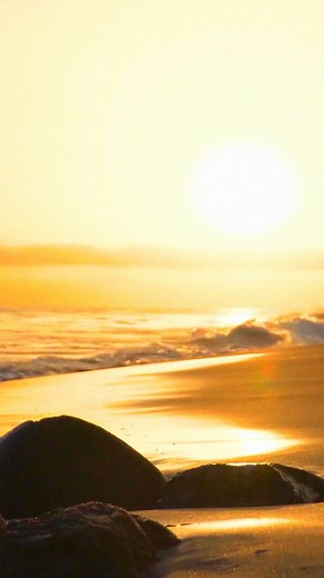 6.8K views · 203 reactions | One travel reviews on Reels | Facebook