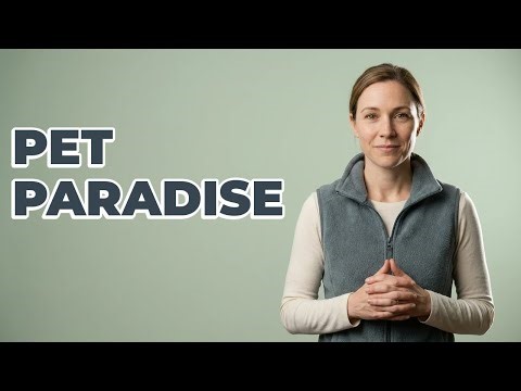 How Can I Make A Pet-Friendly Room?