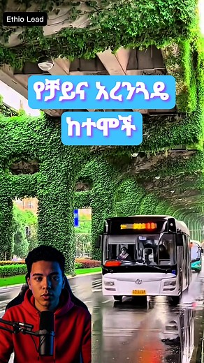 85K views · 3K reactions | አረንጓዴ የቻይና ከተሞች #ethiopia #Habesha #addisababa | Ethio Lead | Facebook