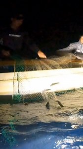 Night net fishing #fishinglife #nightlife #lateuploads | Nonoy Maming