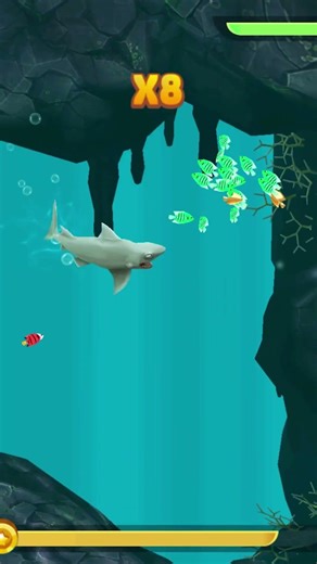 Reef Shark Max Level 10 In Hungry Shark Evolution