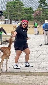 Meeting the Famous Bowing Deer at Nara Park, Japan!