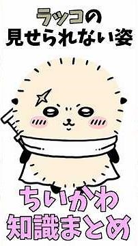 【ちいかわ】ラッコの見せられない姿 ちいかわ知識まとめ #ちいかわ #アニメ #ちいかわといっしょ #ハチワレ #うさぎ #ちいかわ