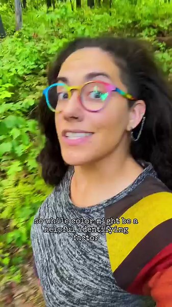 1.8M views · 38K reactions | How do you know if a mushroom is toxic...