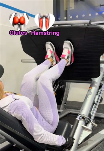 Leg Press Variations Explained for Effective Workouts