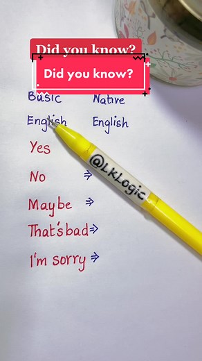 Basic English Vocabulary with Translations Explained