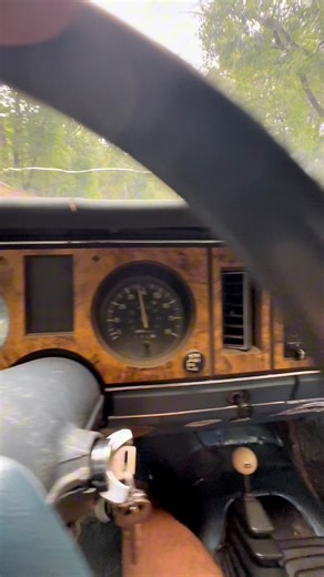 2.7K views · 20 reactions | Unbelievable. | Exploring Alabama | Facebook