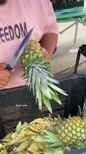 Delicious Pineapple Smoothie Recipe from Malaka