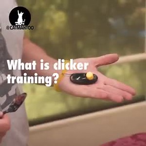 9.8K views · 309 reactions | I've been clicker training animals for...
