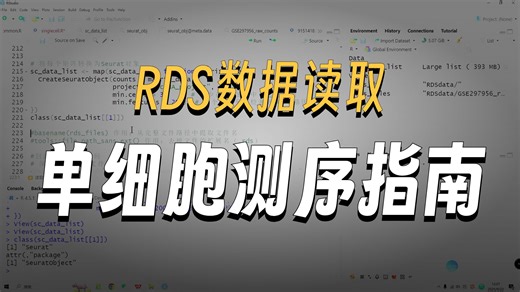 单细胞测序如何读取RDS文件？