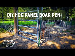 DIY Hog Panel Pig Pen - Building a Pen for Our New Boar