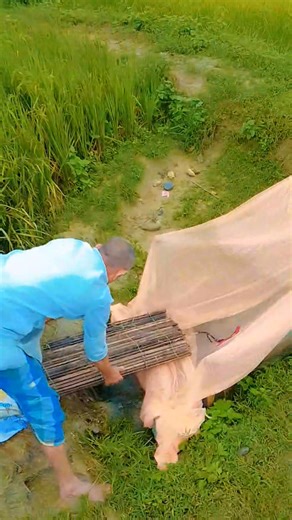 68 reactions · 6 comments | Hello | Indal Kumar Mahato | Facebook