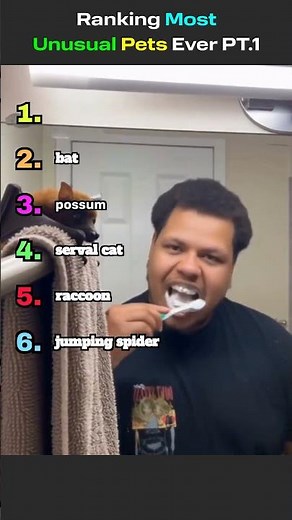 Ranking The Strangest Pets People Own Pt. 1 🐍