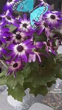 ١٧ أبريل ٢٠٢٦