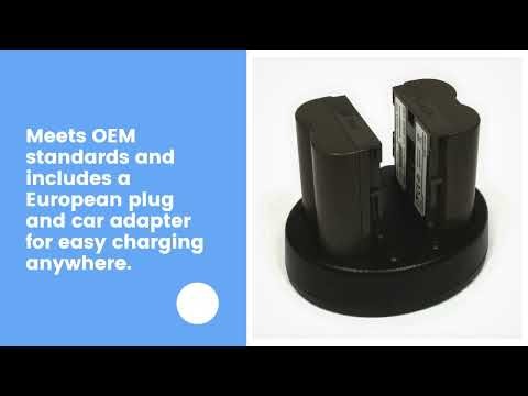 Canon FV100 Replacement Battery (2-Pack, 2000mAh) and Dual Charger