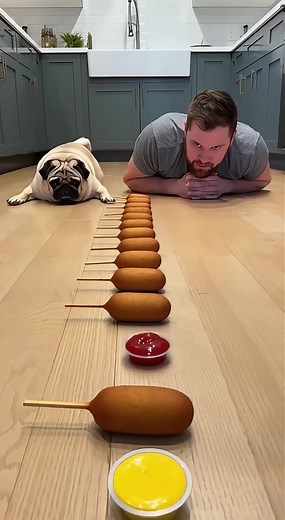 Pug Dog Food Race: Who Will Win?