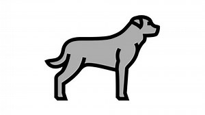 rottweiler dog color icon animation