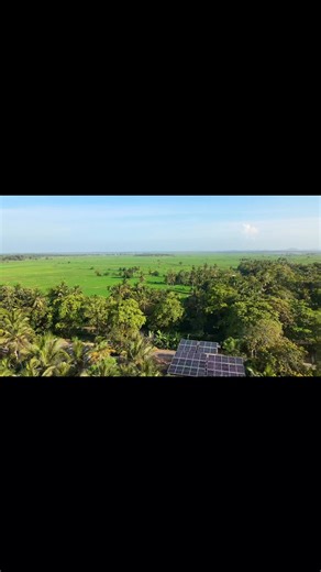 Scenic View of Paddy Field, Guess the location  #srilanka #foryoupageシ | Drone Ceylon | Facebook
