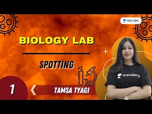 Biology Lab | Spotting Part-1 | Class 12 Biology | Unacademy Class 11&12 | Tamsa Tyagi