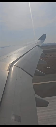 Exploring Airplane Wing Dynamics in Flight
