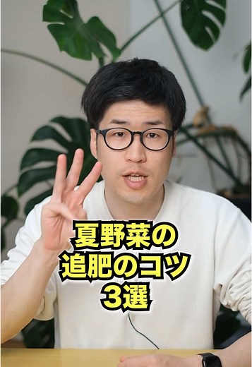 夏野菜の追肥のコツ3選