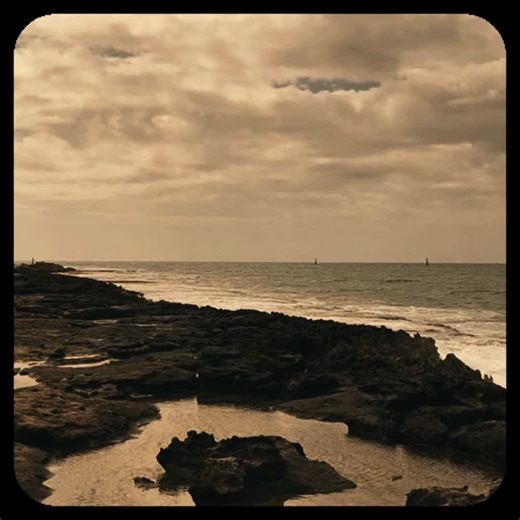 caseysgeneralstore on TikTok