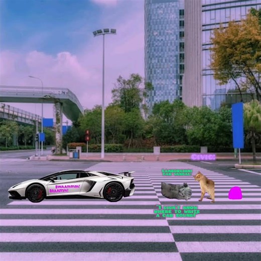 CAT MEMES 😺 Civic catches a Lamborghini car vandal tag spraying an Aventador SV with it's rev sound!